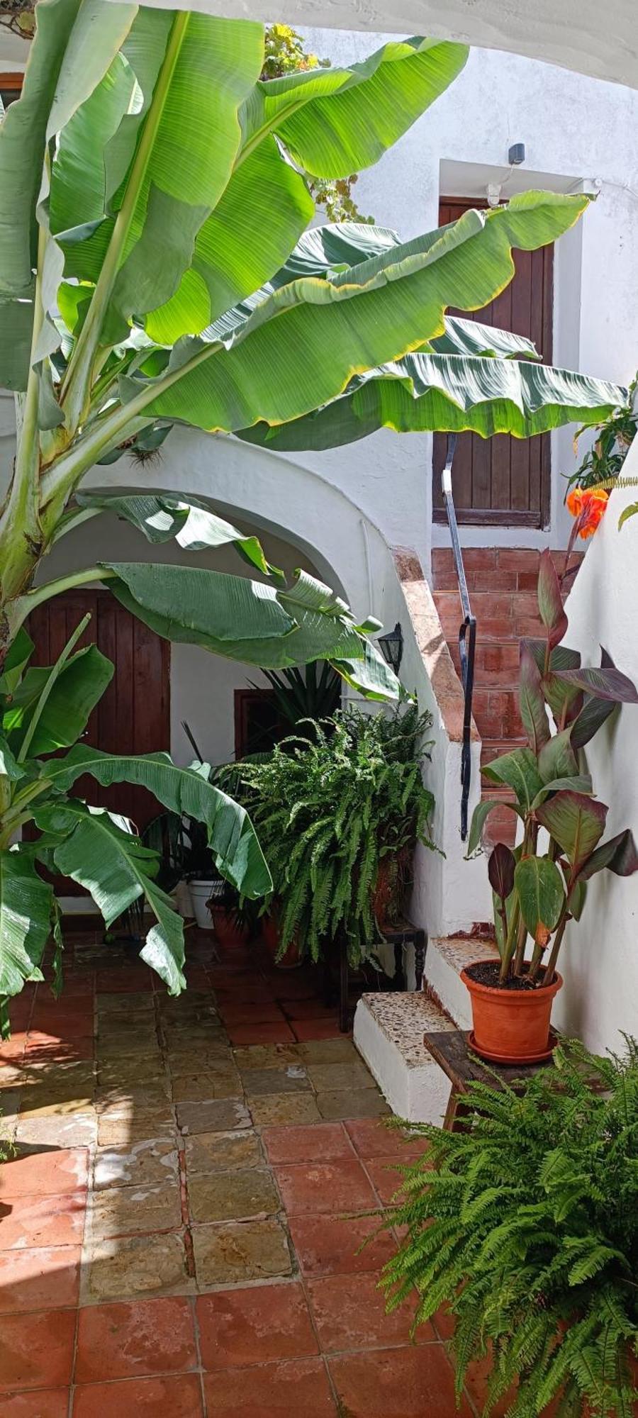The Best In The Center Of Tarifa Apartment Exterior photo